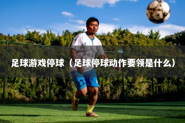 足球游戏停球（足球停球动作要领是什么）