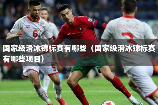 国家级滑冰锦标赛有哪些（国家级滑冰锦标赛有哪些项目）