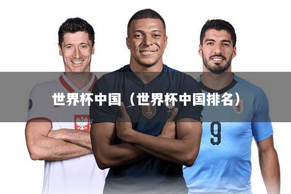 世界杯中国（世界杯中国排名）