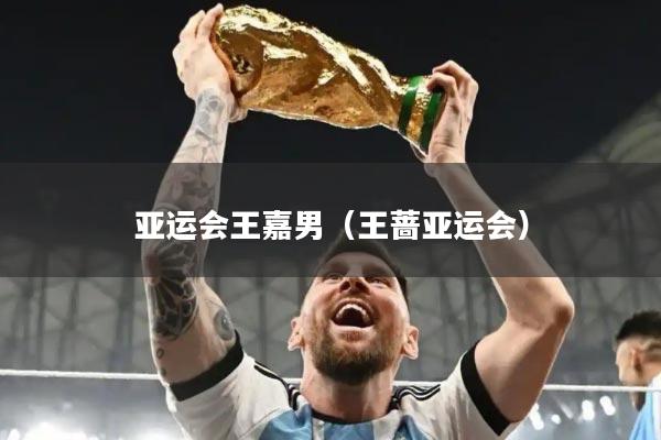 亚运会王嘉男（王蔷亚运会）