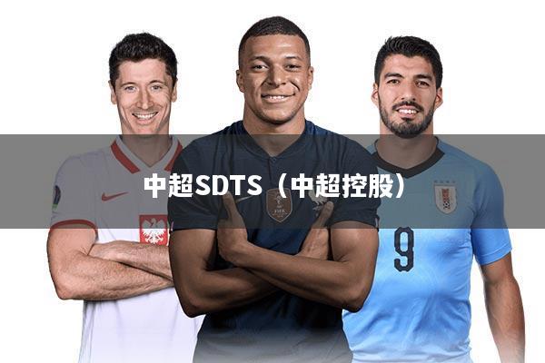 中超SDTS（中超控股）