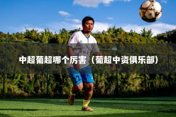 中超葡超哪个厉害（葡超中资俱乐部）