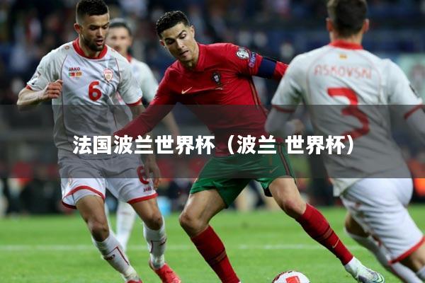 法国波兰世界杯（波兰 世界杯）