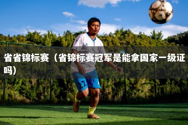 省省锦标赛（省锦标赛冠军是能拿国家一级证吗）