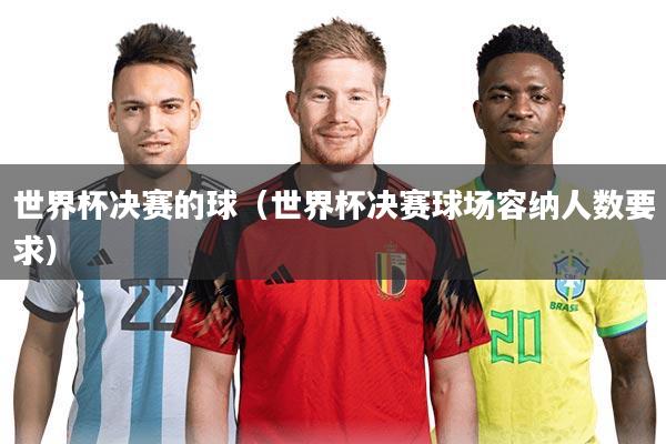世界杯决赛的球(世界杯决赛球场容纳人数要求)