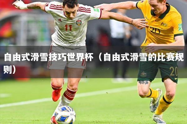 自由式滑雪技巧世界杯（自由式滑雪的比赛规则）