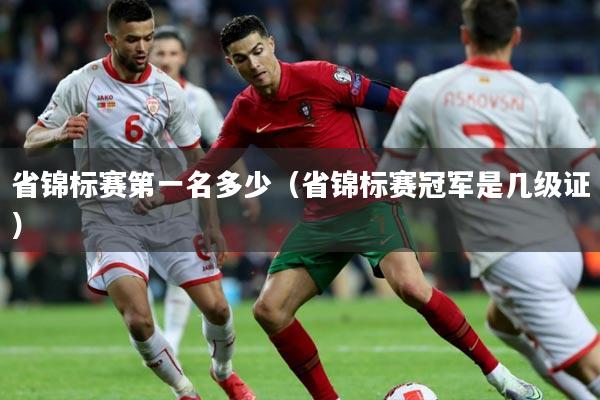 省锦标赛第一名多少(省锦标赛冠军是几级证)