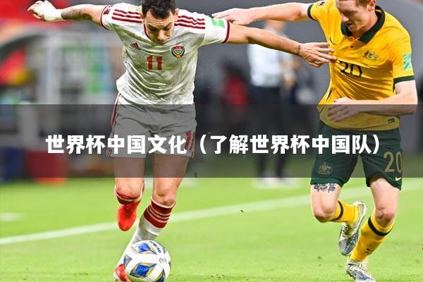 世界杯中国文化(了解世界杯中国队)