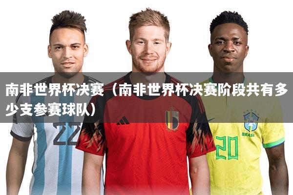 南非世界杯决赛(南非世界杯决赛阶段共有多少支参赛球队)