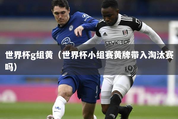 世界杯g组黄(世界杯小组赛黄牌带入淘汰赛吗)