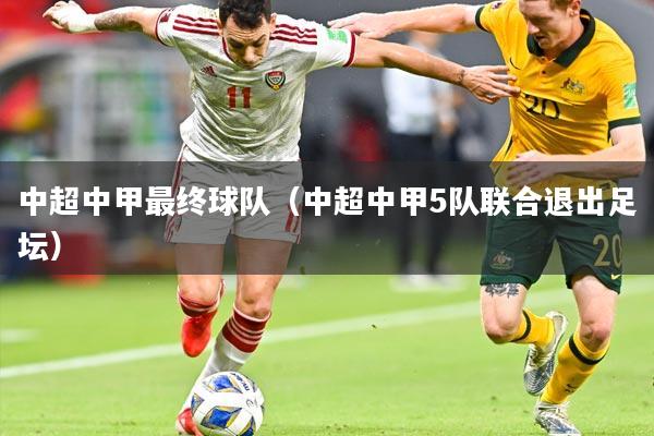 中超中甲最终球队（中超中甲5队联合退出足坛）