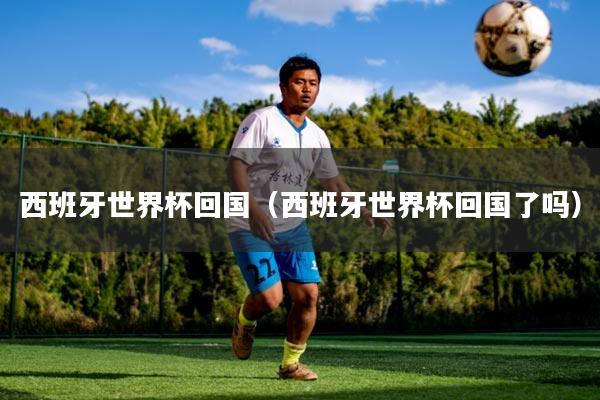 西班牙世界杯回国（西班牙世界杯回国了吗）