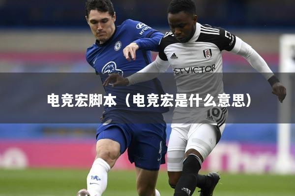 电竞宏脚本（电竞宏是什么意思）