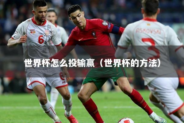 世界杯怎么投输赢（世界杯的方法）