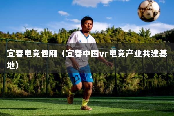 宜春电竞包厢（宜春中国vr电竞产业共建基地）