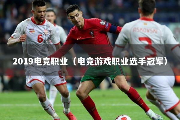 2019电竞职业（电竞游戏职业选手冠军）